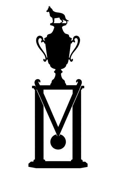 PSA 3 - First Place