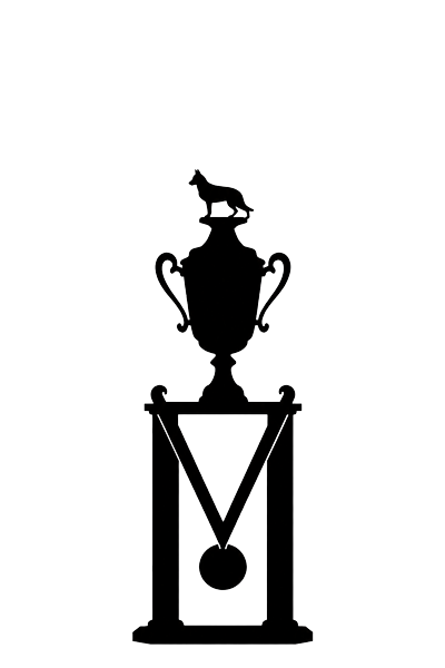 PSA 3 - Second Place